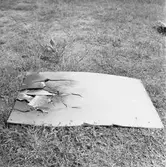 Skjutfältet plåtar från skjutprov