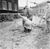 Telesekt. uppsättning av radiomast