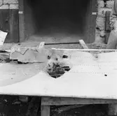 Art.sekt skjutfältet