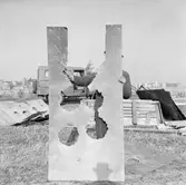 Art.sekt skjutfältet