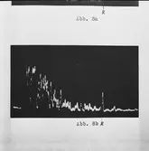 Mask.sekt repro av beskrivning