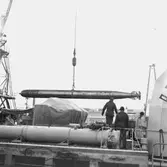 Torpedsekt. illustr. för föredrag