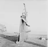 Art.sekt fotografering i samband med tändrörsskjutning