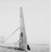 Art.sekt fotografering i samband med tändrörsskjutning