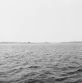 Art.sekt riktmärken i skjutbanan