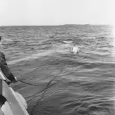 Torpedskjutning skjutbom