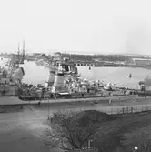 Holländska jagare vid mob.kaj