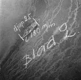 Thule propellerskada