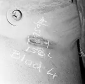 Thule propellerskada