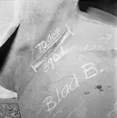 Thule propellerskada