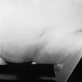 T112 propellerskador