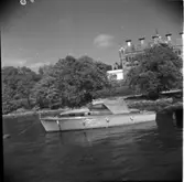 Djärv ?
Skall vara Djärv