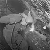 Göta Lejon panna nr 2