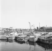 Civila fartyg i docka 1-3