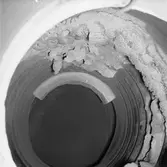 Isbrytaren Atle sotbildning i pannan