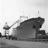 M/s Gylfe i oscarskajen och dockan