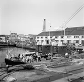 Sjömätningsfartyg i svajningsexperiment