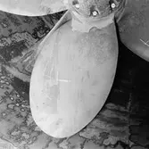 Isbrytare Thule propellrar