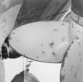 Isbrytare Thule propellrar