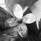 Isbrytare Thule propellrar