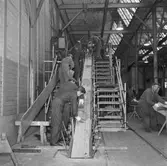 Träminsvepare limning av stäv