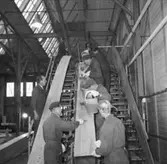 Träminsvepare limning av stäv