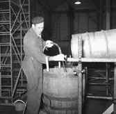 Träminsvepare limning av stäv