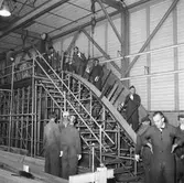 Träminsvepare limning av stäv