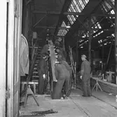 Träminsvepare limning av stäv