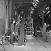 Träminsvepare limning av stäv