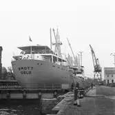 M/s Brott i oscarsdockan