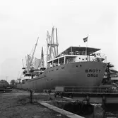 M/s Brott i oscarsdockan