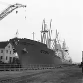 M/s Brott i oscarsdockan