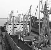 M/s Brott i oscarsdockan