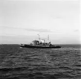 Isbryt. Thule avgång från varvet efter avgång