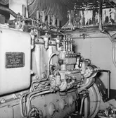 Dr. Viktoria omformare