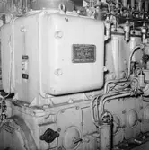 Dr. Viktoria omformare