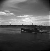 Knipan
Kustartilleriets båt Knipan