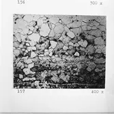 Art.sekt prj-hylsa snitt