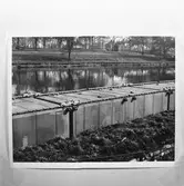 Avd. 12 ritkontoret repro av pråmar m.m