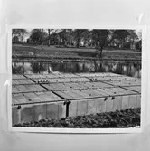 Avd. 12 ritkontoret repro av pråmar m.m