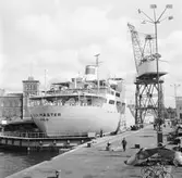 M/s Sea master i oscarsdockan