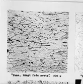 Mask.sekt repro av microbilder