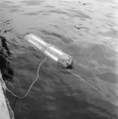 Minsekt. landflluten behållare