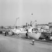 M/S Skånevik i docka 1