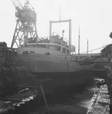 M/s Sverker från Smögen i polhemsdockan