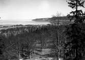 Utsikt från Ekhagen i Jönköping ut över Vättern. Vid horisonten skymtar Visingsö.