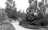 Jönköpings Stadspark. I bakgrunden Solberga klockstapel.