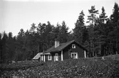 Ett litet bostadshus med uthus ligger vid skogskanten, i förgrunden ett fält med blommande potatis.