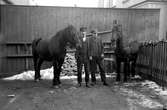 Tillsammans med två hästar står bröderna Valter och Herman Johansson (född 1903) på en gård. De hade ett litet åkeri på Bäckadal 13 på Torpa i Jönköping.